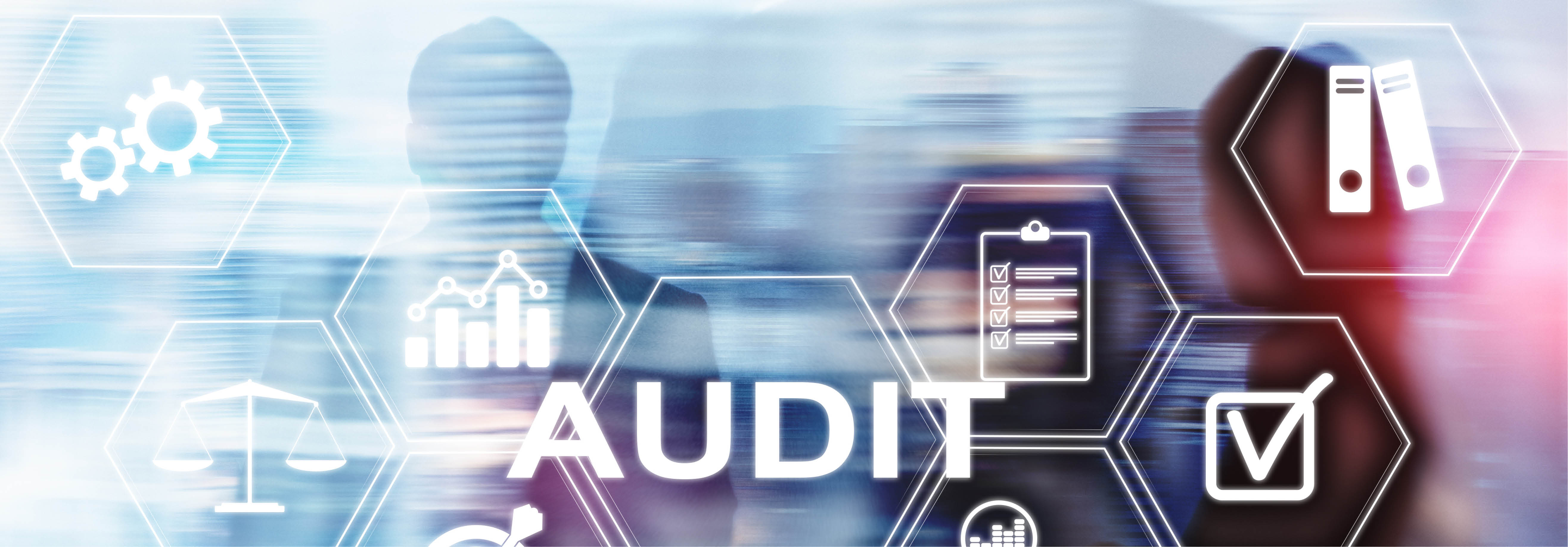 Audit & Accounting Group - Inventory Checks & Digitalization of Audit Tools